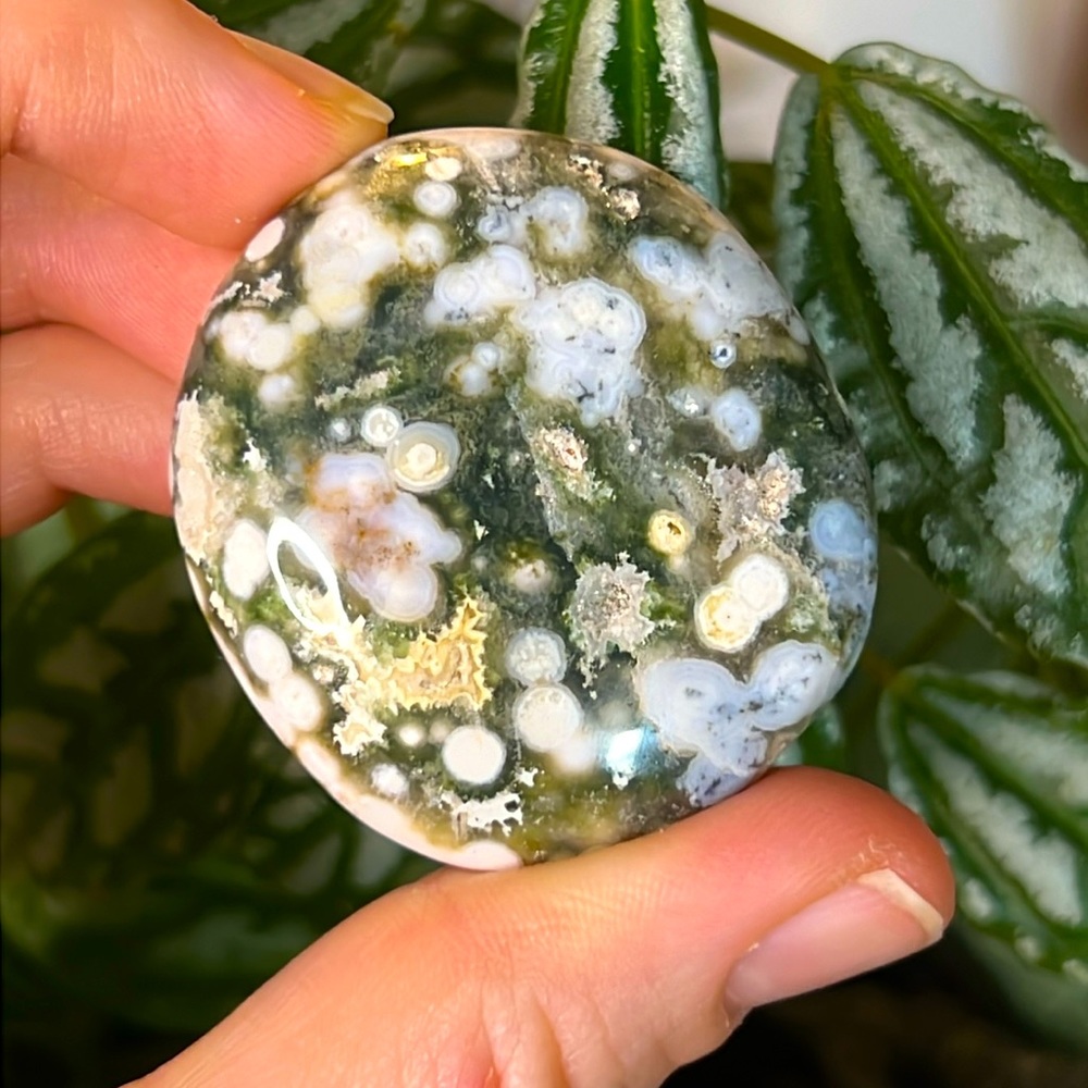8th Vein Ocean Jasper Crystal Palm Stone